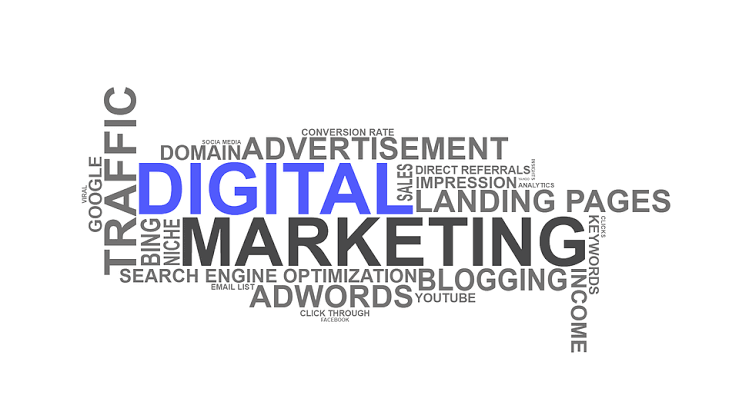 Freelancer Digital marketing services providers Delhi digital marketers