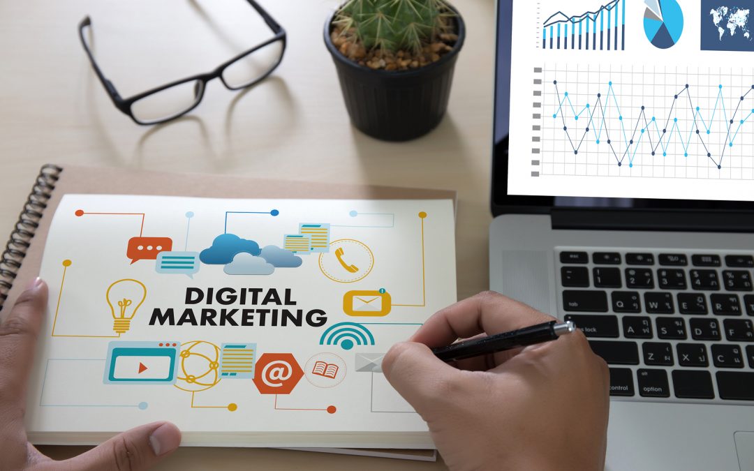 digital marketing company in najafgarh