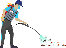 Pest control Service in Delhi