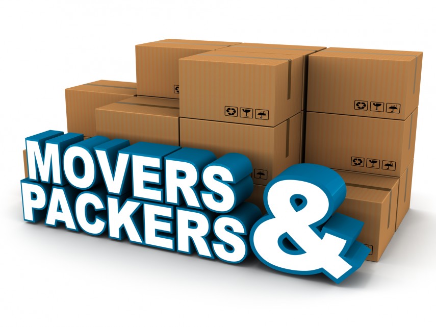 Packers Movers Services  in Janakpuri Delhi