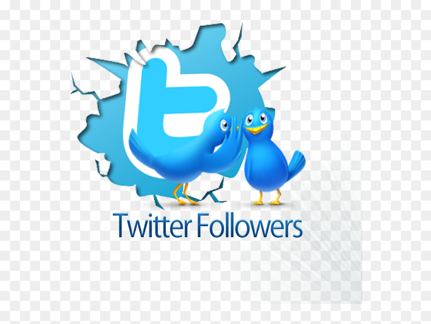 Buy Twitter Account with Follower